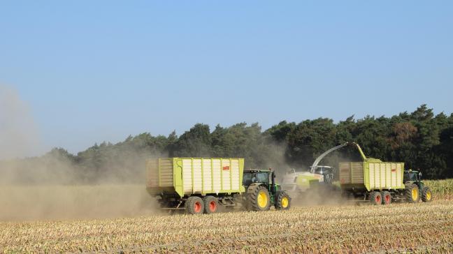 In Noord-Limburg is op sommige plaatsen het hakselen al begonnen.