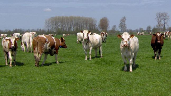 DGZ vraagt veehouders extra waakzaam te zijn.
