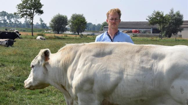 Dries Timmerman, vleesveehouder én voorzitter van de producentenorganisatie vleesvee en van Fairebel Vlees.