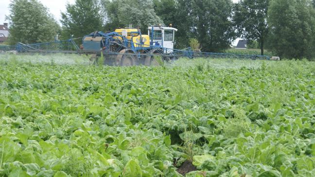 Zonder ‘neonics’ kunnen bieten niet afdoende beschermd worden, aldus Haegeman.