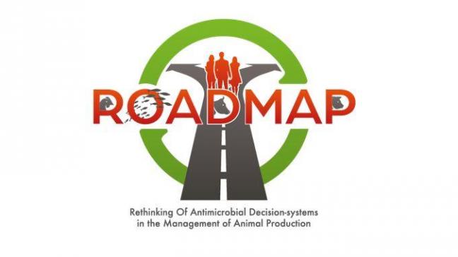 roadmap logo
