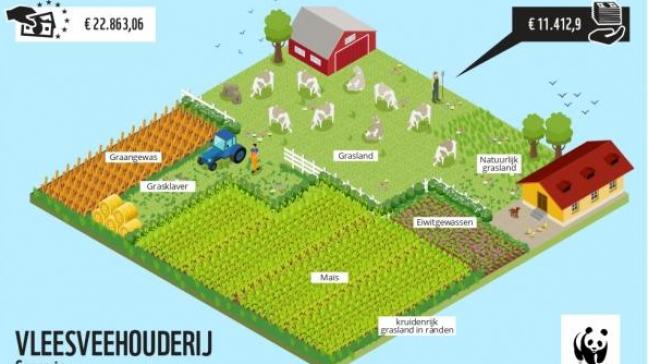 WWF berekende in een studie dat de productie van eigen eiwithoudende gewassen een meerwaarde betekenen voor de veehouder.