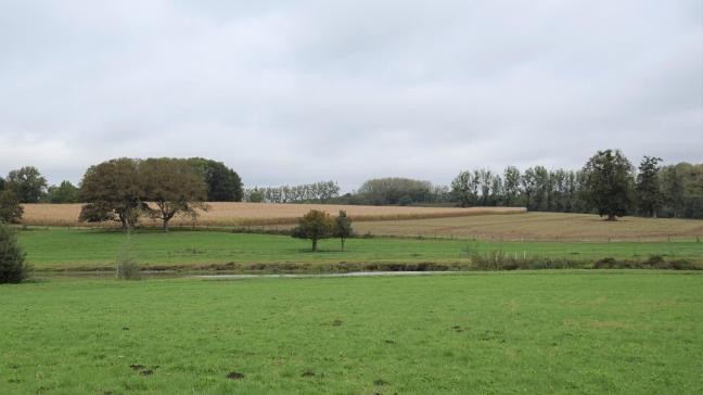 Sinds eind september viel heel wat regen, toch is het grondwaterpeil op het merendeel van de locaties nog ondermaats.