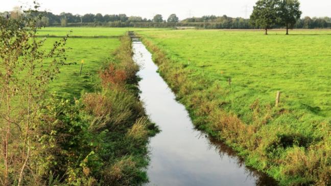 Vanwege steeds vaker terugkerende droogte en overvloedige regenval is waterbeleid van toenemend belang, denkt de provincie Antwerpen.
