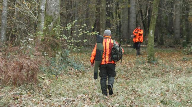 De natuurinspectie betrapte vorige week een bestelwagen met 110 fazanten en 25 patrijzen. Een jager had de bedoeling ze uit te zetten.