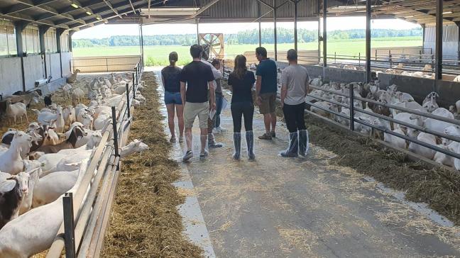 ‘On farm’ vergadering met de verschillende partijen van het Bolucap-project op het bedrijf van Jef Kusters in Ravels.