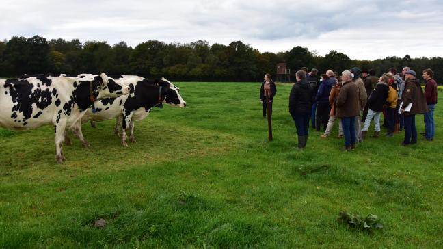 In het project ‘roterend begrazen in de melkveehouderij’ gaat aandacht naar het toetsen van de theorie in de praktijk.