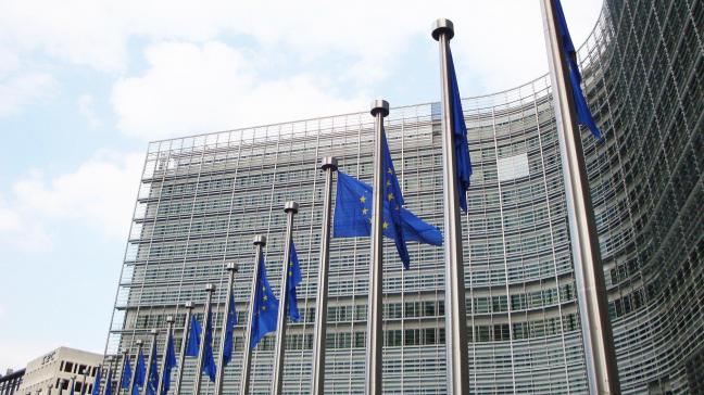 De projecten zullen bijdragen tot de verwezenlijking van de doelstellingen van de Europese Green Deal door onder meer de EU-biodiversiteitsstrategie en het actieplan voor de circulaire economie te ondersteunen.