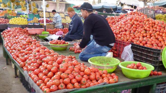 De Marokkaanse tomaten zijn niet alleen in Marokko gegeerd, ook in Rusland.