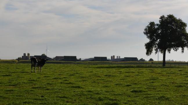Volgens het INBO is een Vlaams herstelplan dringend nodig om de biodiversiteit te verbeteren.