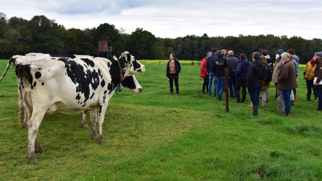 Een van de projecten rond agro-ecologie is ‘roterend begrazen’ van het ILVO, Odisee  en vzw Wervel.