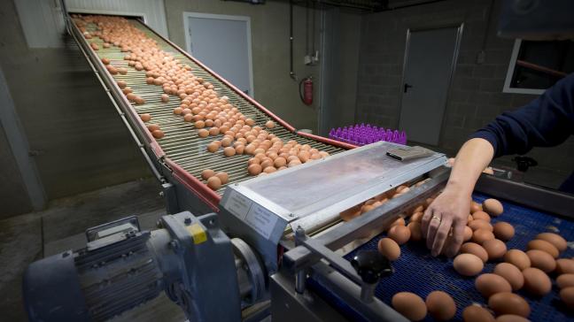 In 2017 moesten heel wat eieren vernield worden na besmetting met het insecticide fipronil. Bijna alle schadevergoedingen werden intussen uitbetaald.