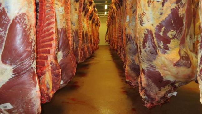 Vion Food Group gaat na een intensieve samenwerking het rundvleesbedrijf Adriaens in Zottegem overnemen.