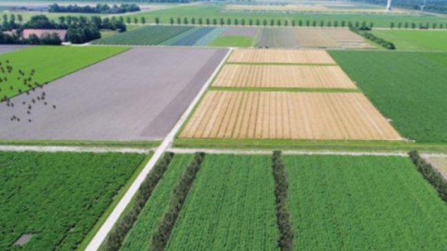 Lelystad, de hoofdstad van de provincie Flevoland, beleeft een primeur voor Nederland met de start van de eerste grootschalige (15 ha) multidisciplinaire onderzoeksfaciliteit voor agroforestry.