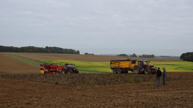 Landbouwers krijgen het meeste vertrouwen van consumenten binnen voedselsector.