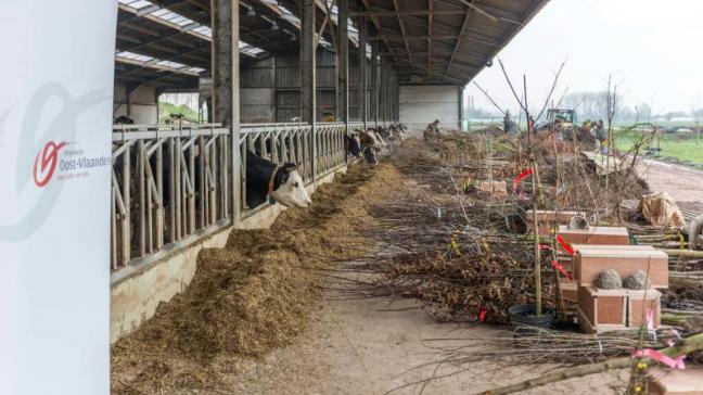 Bij de 243 deelnemers van de groepsaankoop waren er 203 landbouwers.