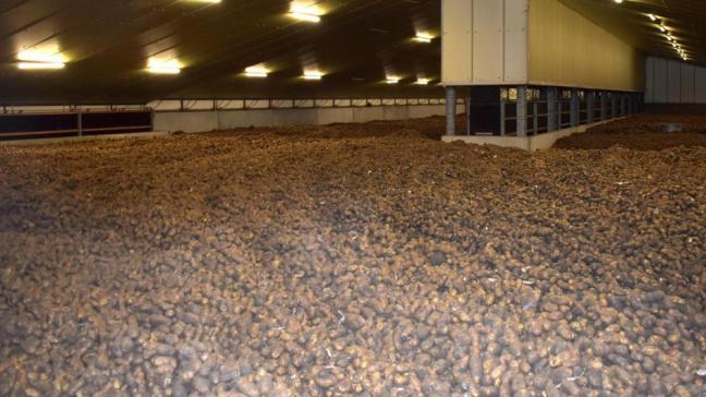 Er werd in totaal 233.459 ton aardappelen aangeboden voor vergoeding. De gemiddelde aanvraag had betrekking op 544 ton.