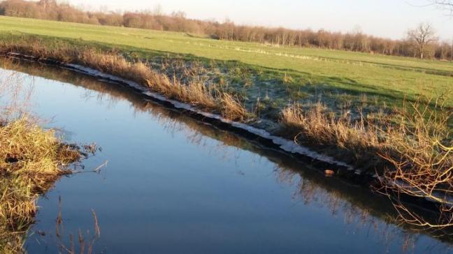 Met deze ingebrekestelling wil Greenpeace de Vlaamse regering aansporen om veel drastischer in te grijpen in het kader van het mestactieplan.