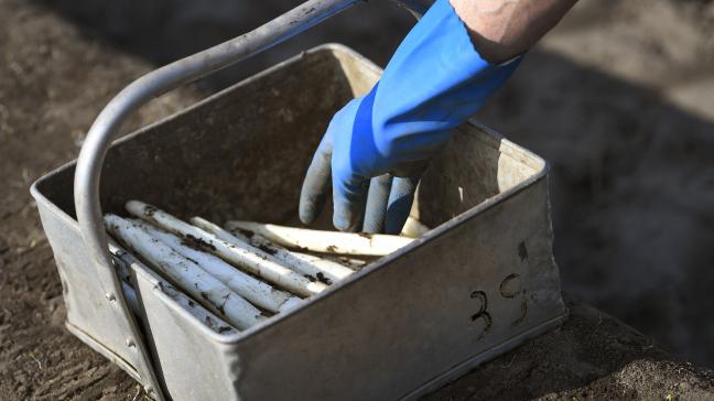 Er zijn veel helpende handen nodig.