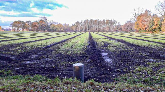 Zowel landbouwkundig als maatschappelijk kan zo’n peilgestuurde drainage de landbouwer voordeel opleveren.