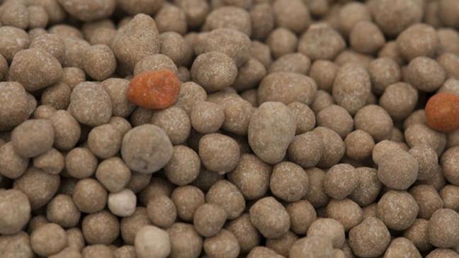 Het digitale kunstmestregister zal de kunstmeststromen en het kunstmestgebruik beter in kaart brengen en een betere handhaving mogelijk maken.