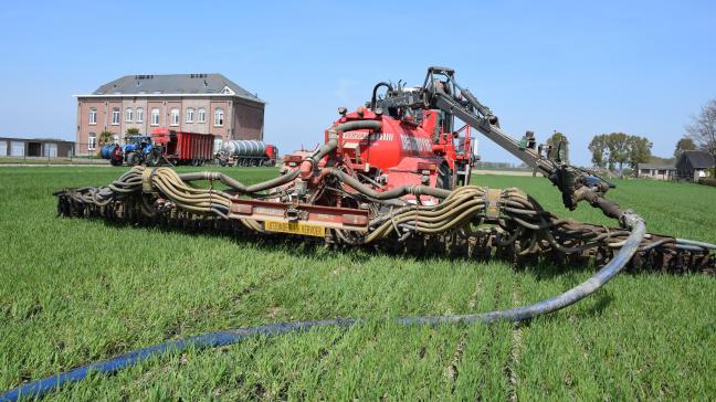 In het voorjaar drijfmest toedienen over wintertarwe biedt meerdere voordelen.