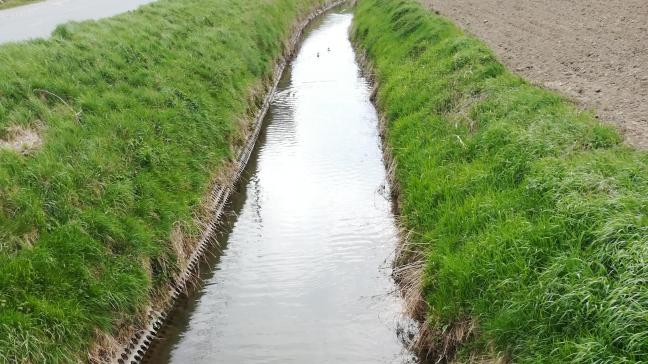 In het kader van de drinkwaterkwaliteit is het aangewezen om eerst werk te maken van die 400.000 gezinnen die niet aangesloten zijn op de riolering.