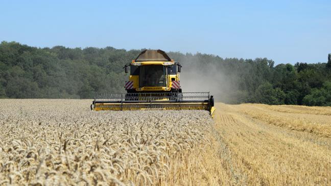 De tarwemarkt is bezorgd over de impact van de vrieskoude in West-Europa, en op die van de droogte in Amerika.