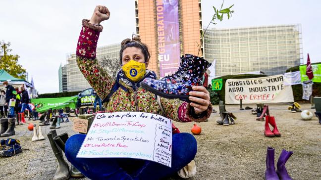 Er werd in Brussel al verschillende keren geprotesteerd tegen het ontwerp van de Mercosurdeal.