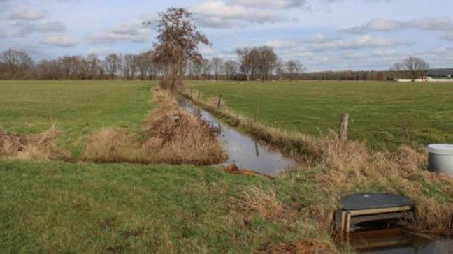 De oproep richt zich naar lokale besturen, verenigingen, landbouwers en burgers die zich willen verenigen om samen op zoek te gaan naar oplossingen.