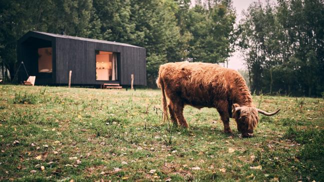 Op verschillende plaatsen in Europa worden meer en meer Slow Cabins geplaatst.