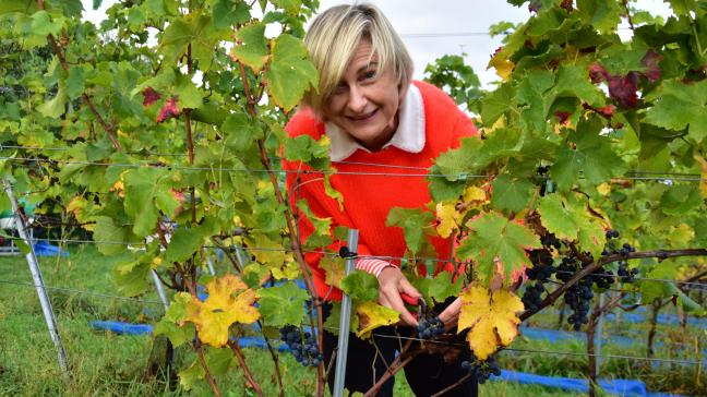 Onder meer Vlaams landbouwminister Hilde Crevits steunt de wijnboeren.
