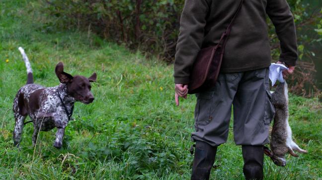 De vraag naar een centraal meldpunt komt van uit de sector zelf, want jagers voelen zich naar eigen zeggen alsmaar meer geviseerd door anti-jachtorganisaties en rabiate tegenstanders van wildbeheer, die soms driest te werk gaan.