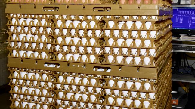 De uitvoer van eieren naar het VK is in de eerste 2 maanden met 74% gedaald. Bij het interpreteren van de cijfers mogen we niet vergeten dat het VK in de eerste 2 maanden van dit jaar in lockdown zat.
