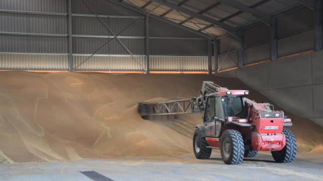 Fegra vertegenwoordigt meer dan 95% van de nationale graanhandel, met een nationale productie van 2,3 miljoen ton (2020) en een omzet van 6,5 miljard euro.