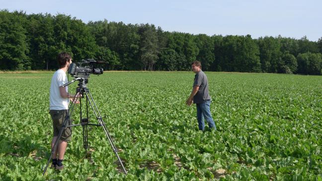 André Wauters van het Bieteninstituut gaf via een webinar van de Vlaamse overheid  toelichting bij de gebeurtenissen in de teelt van suikerbieten.