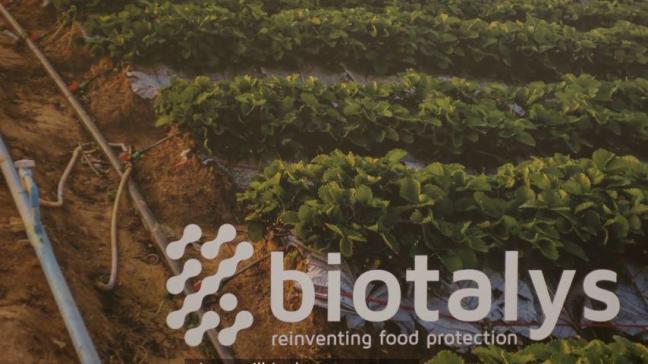 Biotalys wil met innovatieve technologieën voedsel- en gewasbescherming veiliger en duurzamer maken.