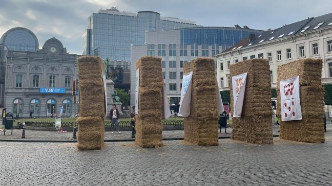 Op het Luxemburgplein in Brussel voerden vertegenwoordigers van Europese landbouworganisaties actie tijdens de GLB-onderhandelingen. Ze willen nu een akkoord, waarin de Europese landbouwer centraal wordt gesteld.