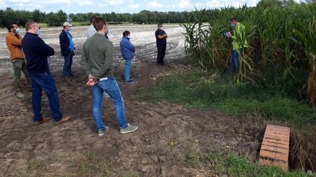 Een vijftal Beernemse landbouwers werken mee aan een pilootproject om op gemeentelijke gronden koolstof in de bodem op te slaan.