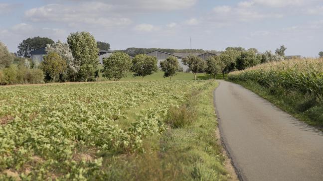 Losse heggen, knotbomen en hoogstammige bomen op en rond het bedrijf zijn zeker een troef.