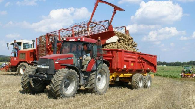 De Europese commissie verwacht dat de productie van suikerbieten in 2021-22 ongeveer 110 miljoen ton zal bedragen, een stijging ten opzichte van de 99 miljoen ton van het vorige teeltseizoen.