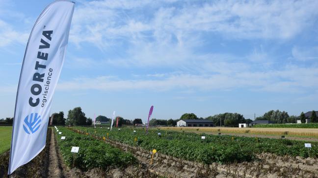 Corteva Agriscience en Symborg kondigden een meerjarige overeenkomst aan rond stikstoffixatie op basis van bacteriën.