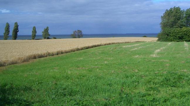 De steun zal ertoe bijdragen dat koolstofrijke landbouwgrond uit productie wordt genomen en vervolgens wordt omgezet in natuurgebieden door de natuurlijke hydrologie ervan te herstellen door het ontkoppelen van rioleringen en het weer nat maken van het land.