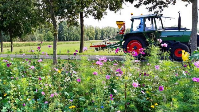 Het verhogen van biodiversiteit wordt wereldwijd ondersteund.