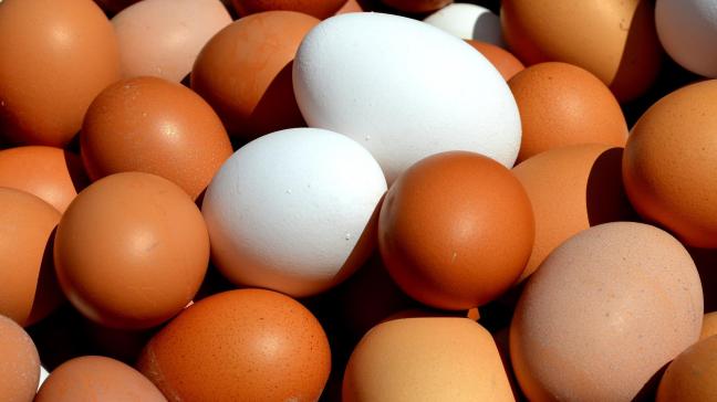 In 2020 werd 1.825 ton eieren, of 7,4% van de EU-invoer, uit Argentinië in de EU ingevoerd.