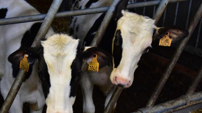 Restmethaan zou kleinschalig en lokaal kunnen worden omgezet.