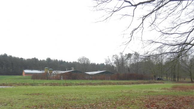 Het varkensbedrijf in Diest kreeg code rood en kon niet hervergund worden. Binnenkort wordt de bedrijfszone ingepalmd door natuur.