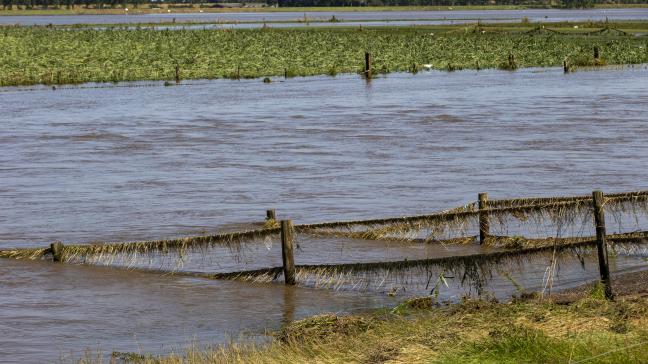 De overstromingen zorgden mogelijk voor contaminatie van velden en weiden. Dat moet geanalyseerd worden.
