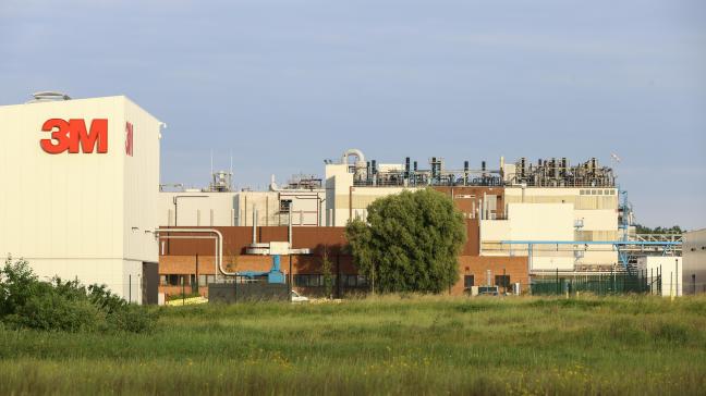 Vooral bij de eieren van scharrelkippen werden PFAS en PFOS aangetroffen.