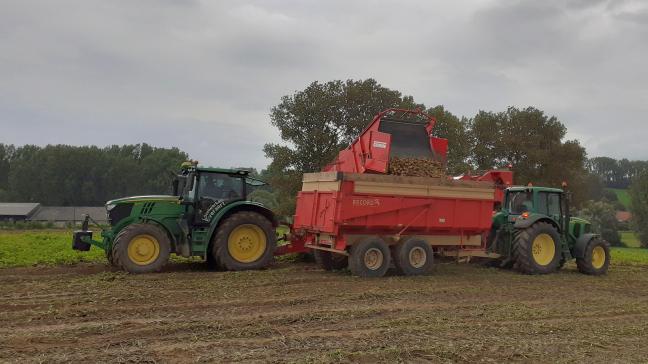 Belgapomnotering voor vroege aardappelen daalt verder?